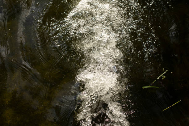 il flusso d'acqua nello stagno. il movimento gorgogliante dell'acqua. - green sea whirlpool bubble foto e immagini stock