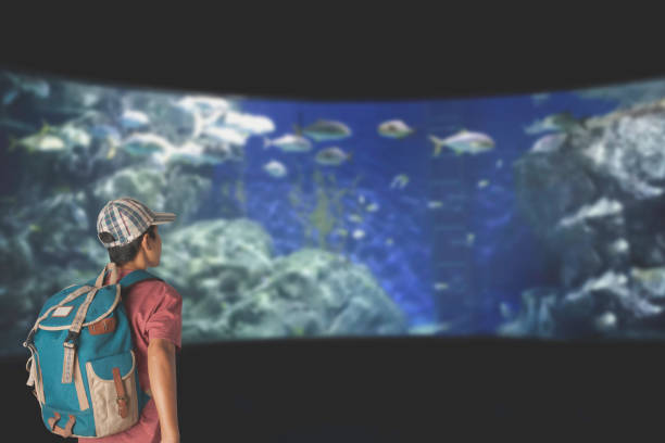 istock A young man with backpack looking at fish in a tank at the aquarium 1332818618