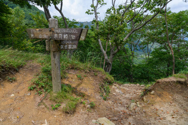 istock Azegata Pass in Nikko National Park 1332821275