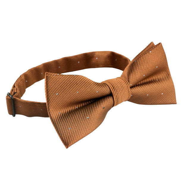 istock Light brown butterfly tie isolated 1332823782