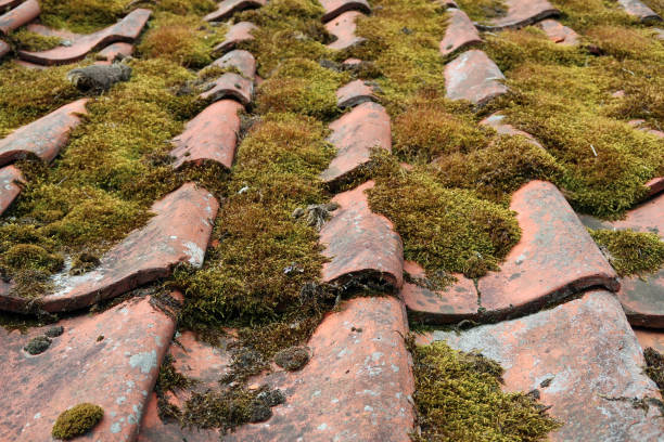 istock Waves of old weathered rusty red terracotta roof tiles. Abstract textured patterned background 1332823876