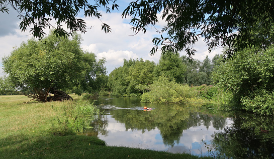 Idyllic river Stour valley. Footpath between Dedham and Flatford Mill in Constable country. Single wild swimmer. On St Edmunds or Essex way walking trails. Outdoors on a summers day. Suffolk Borders, United Kingdom, August 3, 2021.