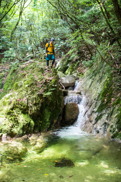 istock Hiker standing by  a mountain forest waterfall and natural pool 1332826162