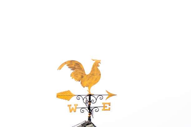 Gold rooster weather vane show the wind direction on white sky background