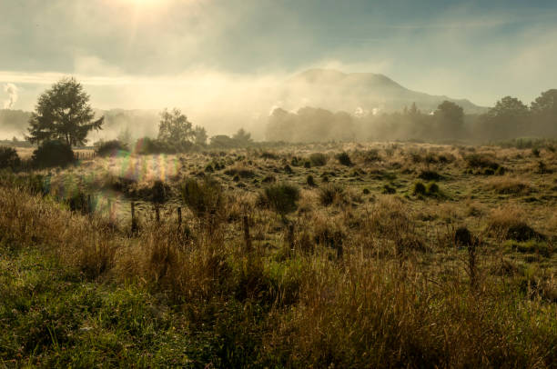 istock Sunrise over fields near Lake Taupo 1332830529