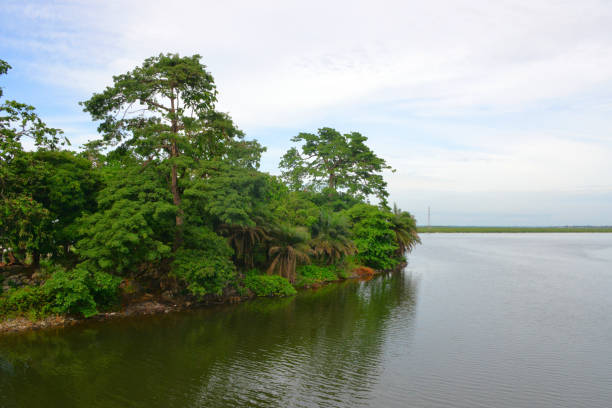 wyspa providence - las tropikalny na wschodnim krańcu, monrovia, liberia - liberia zdjęcia i obrazy z banku zdjęć