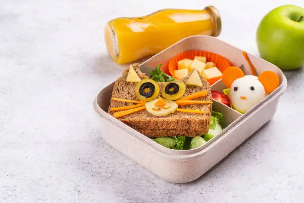 Kids lunch box with cute cat sandwich, cheese cubes and mouse made from boiled egg. Back to school breakfast background. Copy space