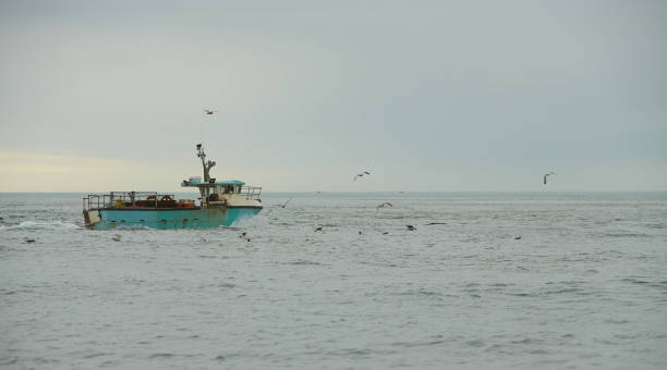 istock Fishing boat in the open sea. 1332844580