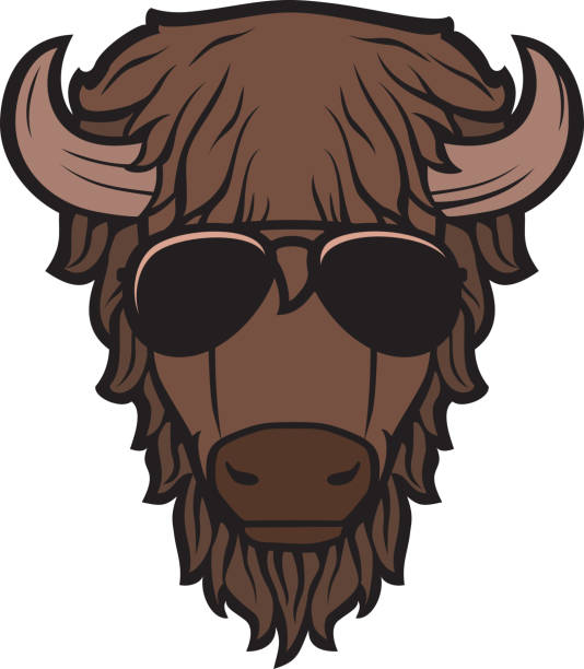 Bison head with aviator sunglasses Bison head with aviator sunglasses vector illustration stampeding stock illustrations