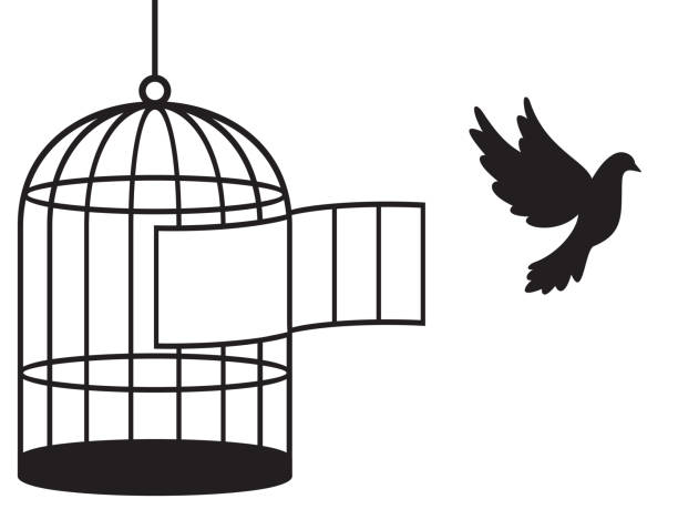 bird and open cage - 鳥籠 插圖 幅插畫檔、美工圖案、卡通及圖標