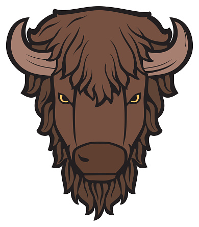 Bison (Buffalo) head