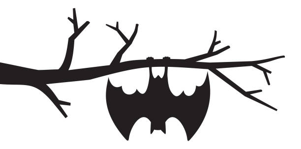 Bat hanging from tree vector art illustration