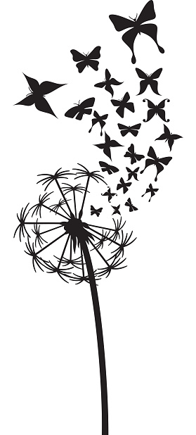 Dandelion with butterflies vector illustration