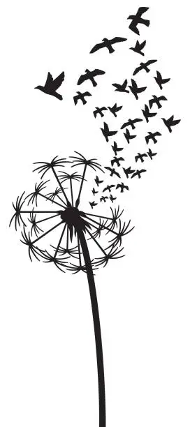 Vector illustration of Dandelion with Birds