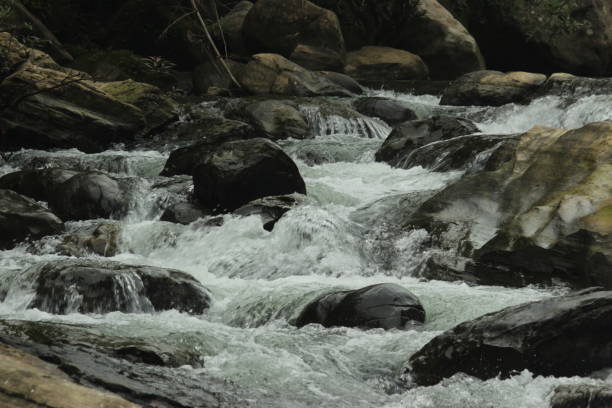 istock Beautiful stream in the hilly area 1332854632