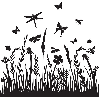 Grass silhouette and flying insects (dragonfly, bee, butterfly, ladybug). Flowers and plants vector illustration
