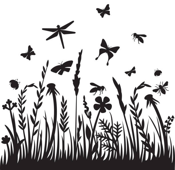 Grass and insects Grass silhouette and flying insects (dragonfly, bee, butterfly, ladybug). Flowers and plants vector illustration butterfly insect stock illustrations