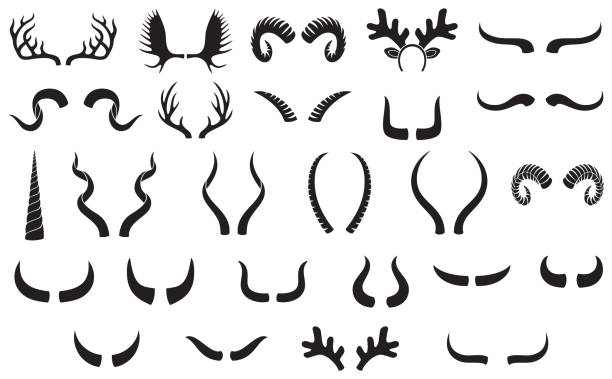 ilustraciones, imágenes clip art, dibujos animados e iconos de stock de conjunto de siluetas de cuernos - ox tail