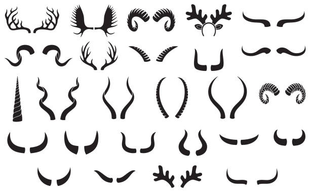 illustrations, cliparts, dessins animés et icônes de ensemble de silhouettes de cornes - bighorn sheep ram sheep horned