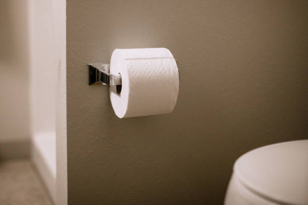 рулон туалетной бумаги в жилой ванной комнате - paper towel hygiene public restroom cleaning стоковые фото и изображения