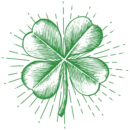 Clover with four leaf - vintage engraved vector illustration (hand drawn style
