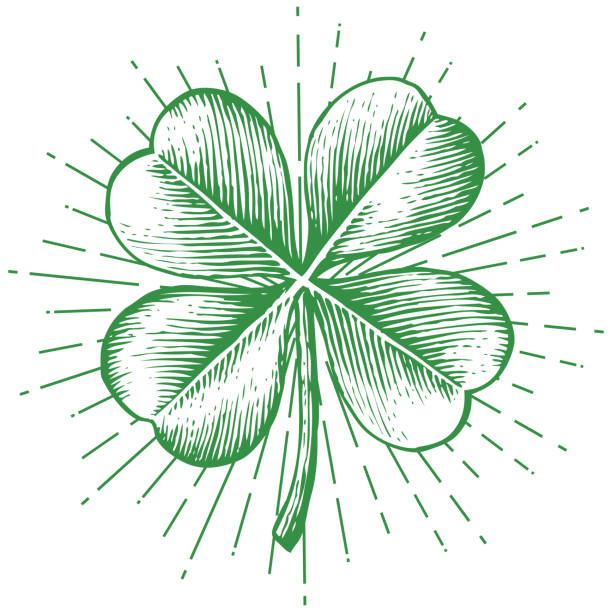 Four leaf clover Clover with four leaf - vintage engraved vector illustration (hand drawn style good luck stock illustrations