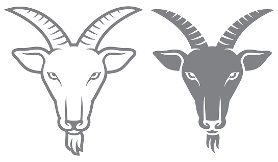 Goat head vector illustration