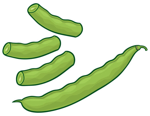 grüne erbsen - bush bean stock-grafiken, -clipart, -cartoons und -symbole