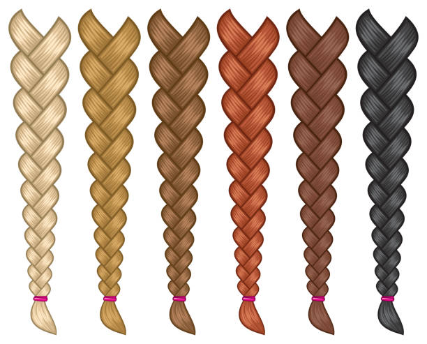 ilustraciones, imágenes clip art, dibujos animados e iconos de stock de juego de trenzas para el cabello - braided