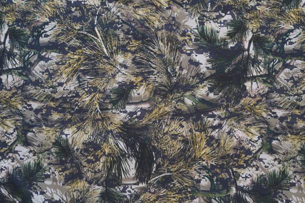 masking natural pattern on camouflage fabric masking natural coniferous pattern on camouflage fabric for abstract background or wallpaper disguise stock pictures, royalty-free photos & images