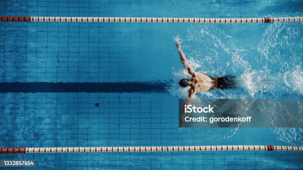 Aerial Top View Male Swimmer Swimming In Swimming Pool Professional Determined Athlete Training For The Championship Using Butterfly Technique Top View Shot Stock Photo - Download Image Now
