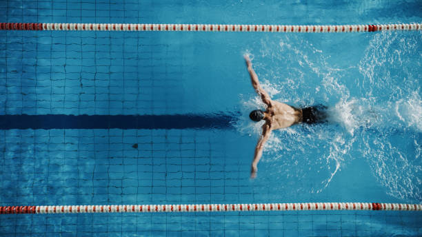 vista aérea top vista nadador masculino nadando na piscina. treinamento profissional de atletas determinados para o campeonato, utilizando técnica borboleta. tiro de visão superior - above 21 - fotografias e filmes do acervo