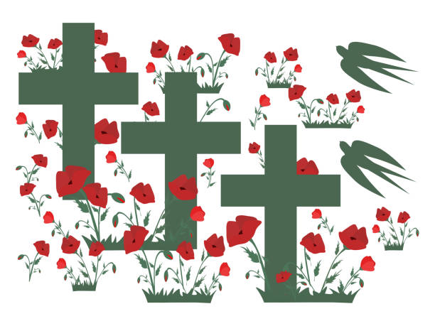 Crosses in the poppy field and swallows Crosses in the poppy field and swallows Cemetery headstone with poppies. Vector illustration for Remembrance Day, Anzac Day Isolated on white background military funeral stock illustrations
