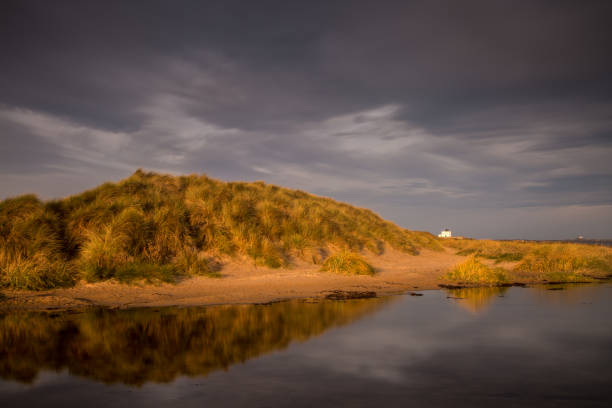 le phare distinctif de bamburgh en forme de boîte et une dune de sable se reflétant dans une piscine à marée - northumberland england bamburgh lighthouse beach photos et images de collection