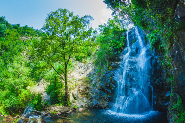 istock Waterfall on a small mountain river of Portugal 1332864151