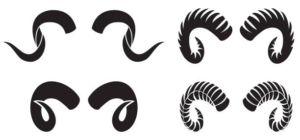 Ram horns Ram horns - vector icons set ram stock illustrations