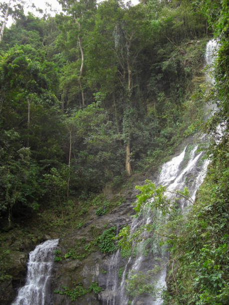 istock Tamaraw waterfalls on the Philippines 1332866496