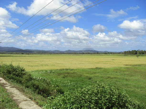 istock Natural scenery on Palawan island on the Philippines 1332866543