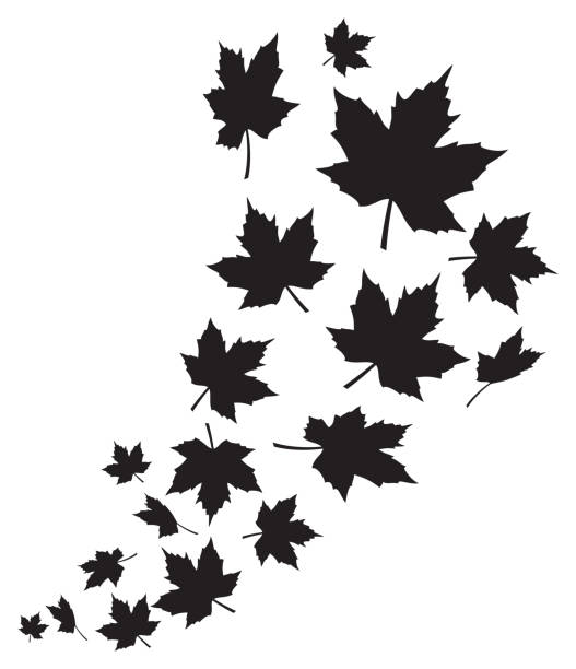 ilustraciones, imágenes clip art, dibujos animados e iconos de stock de remolino de hojas de arce que caen - autumn leaf falling wind