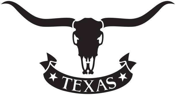 롱혼 머리 두개골 - texas longhorn cattle bull horned cattle stock illustrations