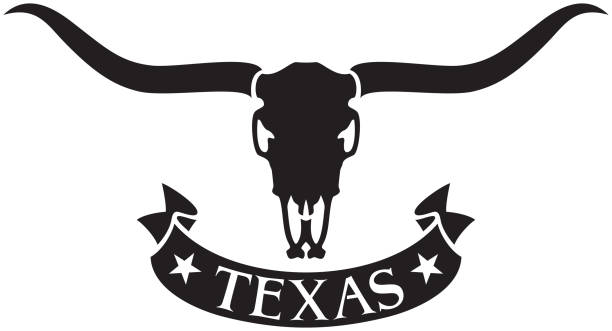 Longhorn Head Skull Texas Design with Longhorn Head Skull skull with horns tattoo pic stock illustrations