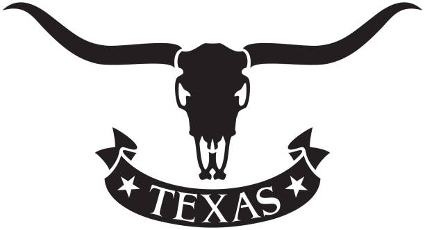 Longhorn Head Skull Texas Design with Longhorn Head Skull hunting horn stock illustrations