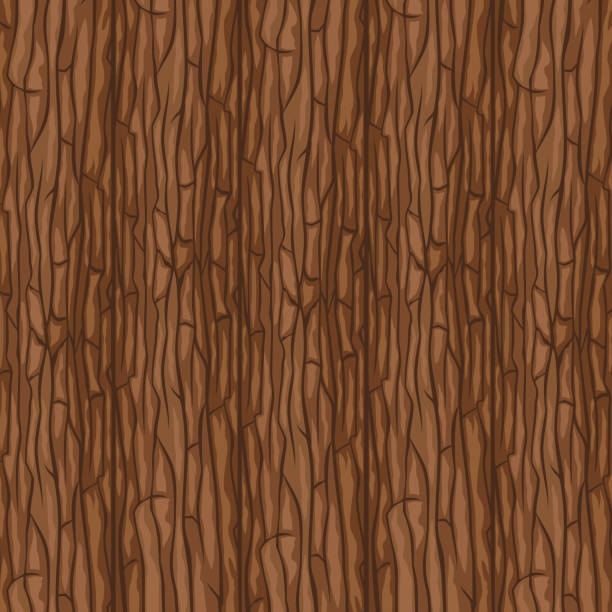 ilustraciones, imágenes clip art, dibujos animados e iconos de stock de textura de la corteza del árbol - bark