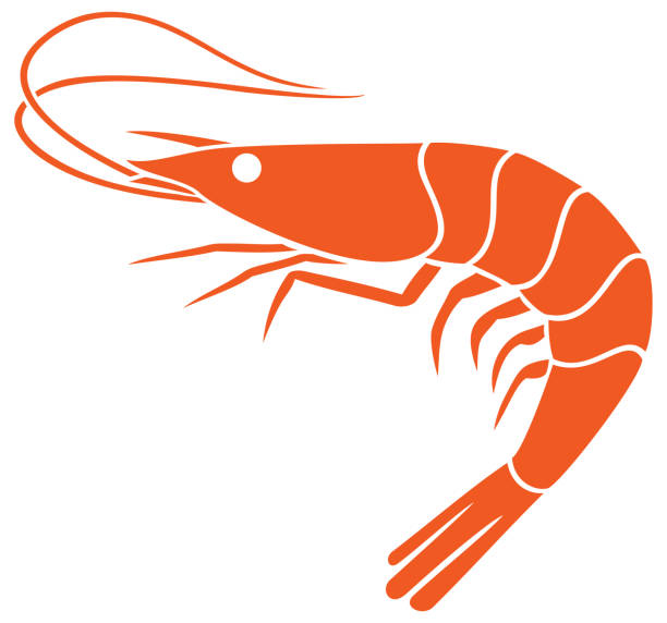 shrimp-symbol - felsengarnele stock-grafiken, -clipart, -cartoons und -symbole
