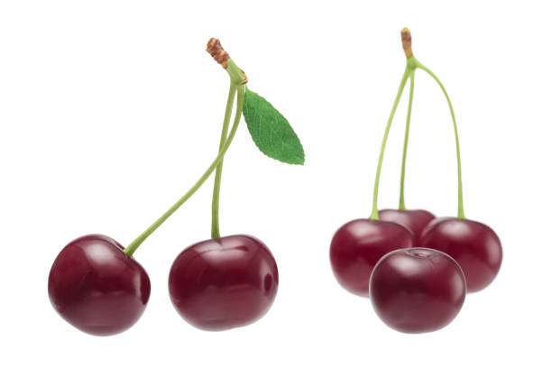 Berries cherries on a white background isolate close-up