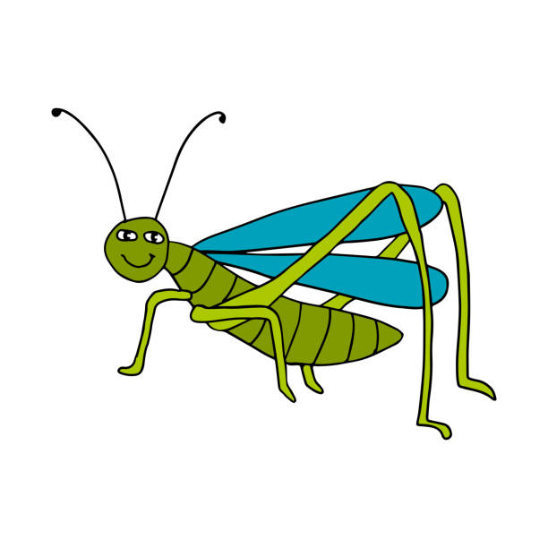 ilustrações, clipart, desenhos animados e ícones de fofo desenho animado doodle feliz gafanhoto isolado em fundo branco - grasshopper locust isolated multi colored