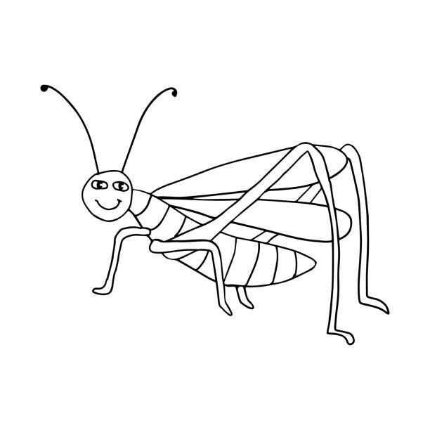 ilustrações, clipart, desenhos animados e ícones de fofo desenho animado doodle feliz gafanhoto isolado em fundo branco - grasshopper locust isolated multi colored