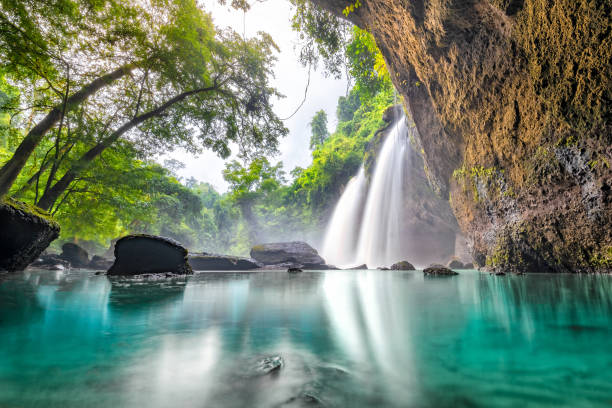 waterfall in tropical forest at khao yai national park, thailand. waterfall view from inside the cave. amazing of haew suwat waterfall unseen khao yai national park, thailand. - rio carnival fotos imagens e fotografias de stock