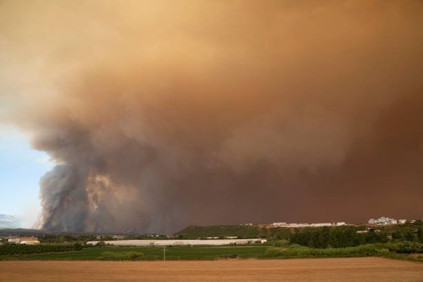 istock Forest fire in Manavgat, Antalya, Turkey 1332870807