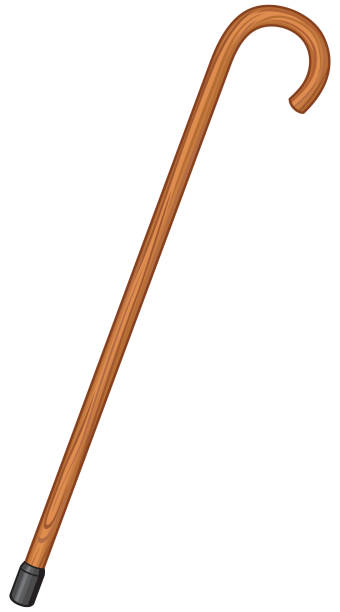 Wooden walking stick cane Wooden walking stick cane illustration walking stick stock illustrations